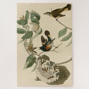 Amerikas Neubeginn von Audubons Vögeln in Amerika Puzzle