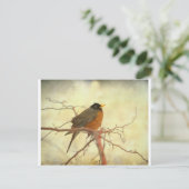 Amerikas Robin im Springtime Postkarte (Stehend Vorderseite)
