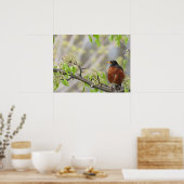 Amerikas Robin-und Frühjahrsblüten Poster (Küche)