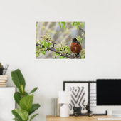 Amerikas Robin-und Frühjahrsblüten Poster (Heimbüro)