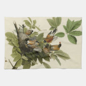 Amerikas Robin von Audubons Vögeln Geschirrtuch (Horizontal)