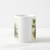 Amerikas Robin von Audubons Vögeln Kaffeetasse (Mittel)