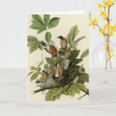 Amerikas Robin von Audubons Vögeln Karte (Gelbe Blume)