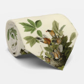 Amerikas Robin von Audubons Vögeln Krawatte (Gerollt)