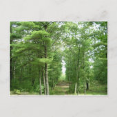 Amerikas Stonehenge, Salem, VT Postkarte (Vorderseite)