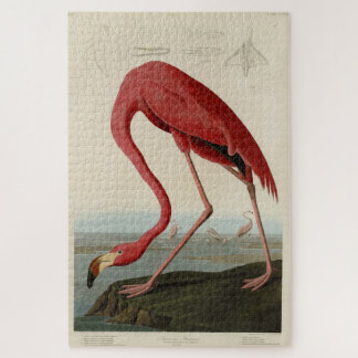 Amerikas Vogelwelt von Flamingo Audubon in Rosa Puzzle