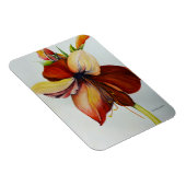 Amerylis 2018 magnet (Rechte Seite)