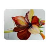 Amerylis 2018 magnet (Horizontal)