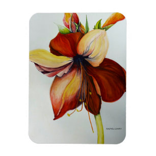 Amerylis 2018 magnet