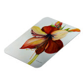 Amerylis 2018 magnet (Linke Seite)