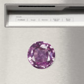 Amethyst 2 magnet (In Situ (Geschirrspüler))