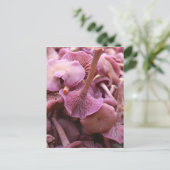 Amethyst Deceiver Postkarte (Stehend Vorderseite)