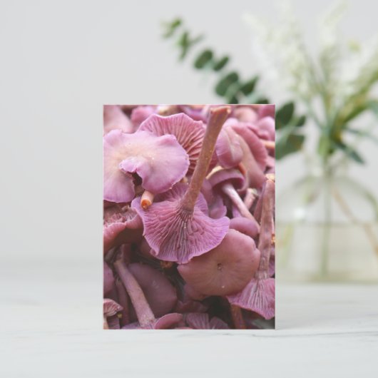 Amethyst Deceiver Postkarte (Stehend Vorderseite)