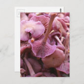 Amethyst Deceiver Postkarte (Vorne/Hinten)