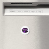 Amethyst-Edelstein Magnet (In Situ (Geschirrspüler))