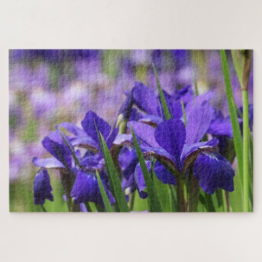 Amethyst Lila Irises Bloral Garden Puzzle (Horizontal)