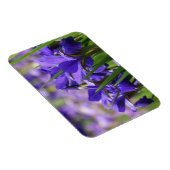 Amethyst Lila Irises Magnet (Rechte Seite)