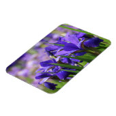 Amethyst Lila Irises Magnet (Linke Seite)