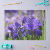 Amethyst Lila Irises Seidenpapier (Basteln)