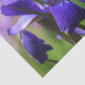 Amethyst Lila Irises Seidenpapier (Detail)