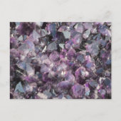 Amethyst Postcard Postkarte (Vorderseite)