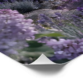 Amethyst-Wasserfall im Februar Poster (Ecke)