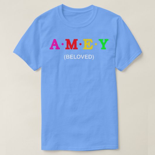 Amey Beloved T-Shirt (Design vorne)