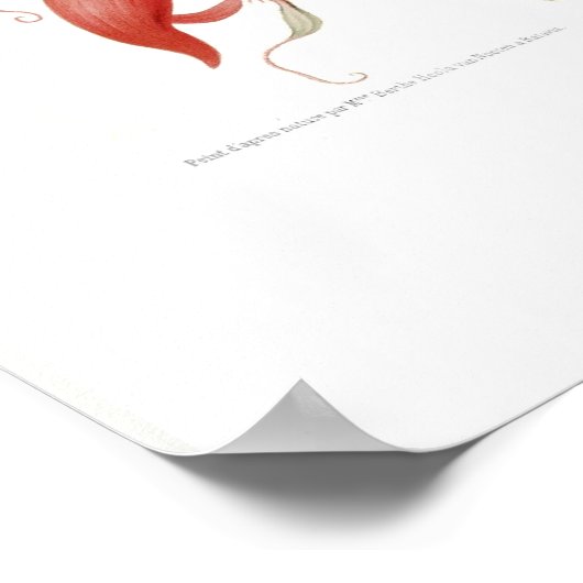 Amherstia nobilis poster (Ecke)