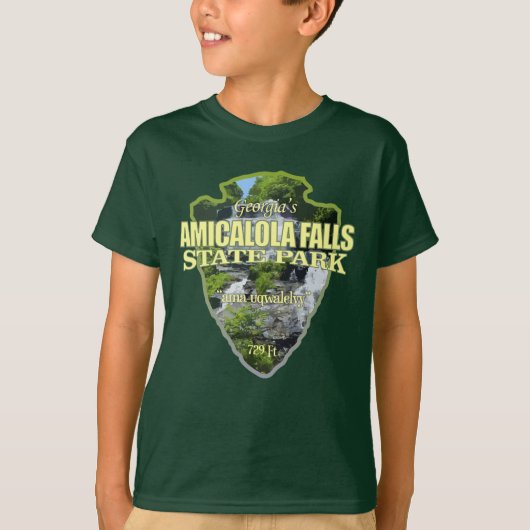 Amicalola Falls (Pfeilspitzen) T-Shirt (Vorderseite)
