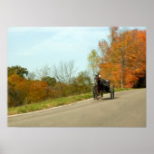 Amich Buggy Print Poster (Vorne)