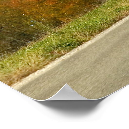 Amich Buggy Print Poster (Ecke)