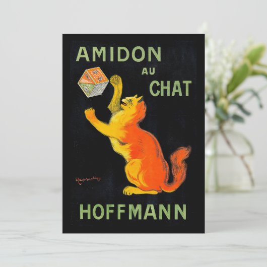 Amidon Au Chat | Leonetto Cappiello (Stehend Vorderseite)