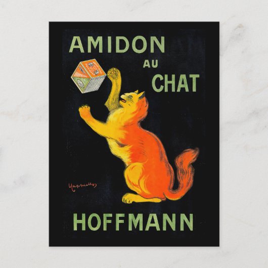 Amidon Au Chat | Leonetto Cappiello Postkarte (Vorderseite)