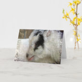 Amigo die Ziege Karte (Gelbe Blume)