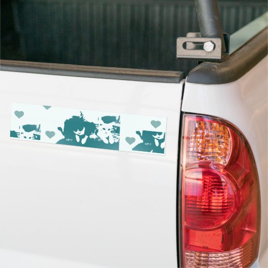 Amigos Felinos. Autoaufkleber (Auf Lkw)