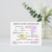 Amino-Säurediagramm Postkarte (Stehend Vorderseite)