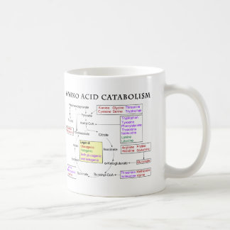 Aminosäure-Katabolismus-Diagramm Kaffeetasse