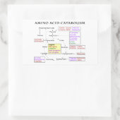 Aminosäure-Katabolismus-Diagramm Rechteckiger Aufkleber (Tasche)