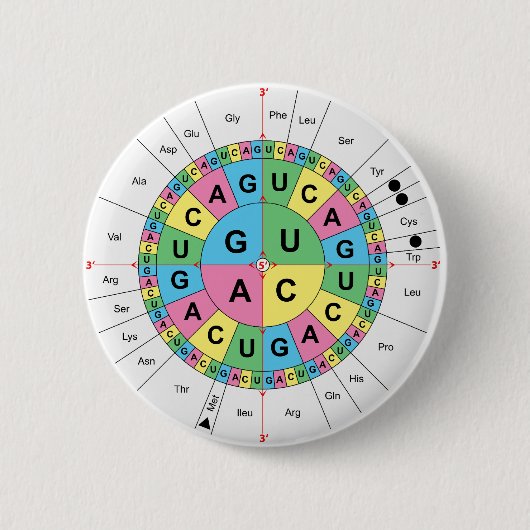 Aminosäure-niedrige Reihenfolgen-Tabellen-Diagramm Button (Vorderseite)