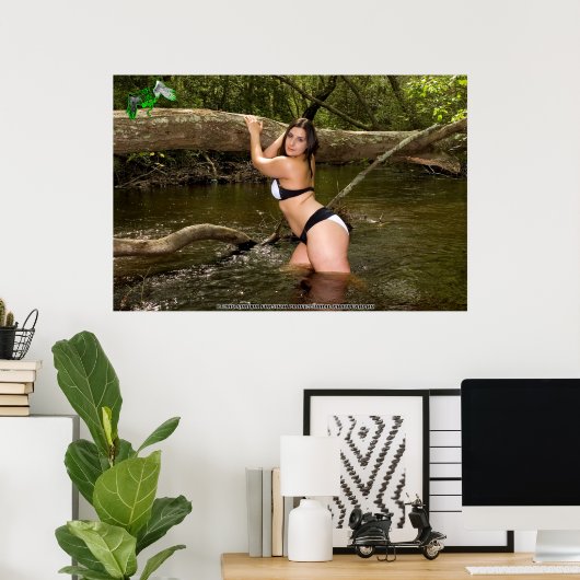 Amira Angel's Animal Shelter Fundraiser Poster (Heimbüro)