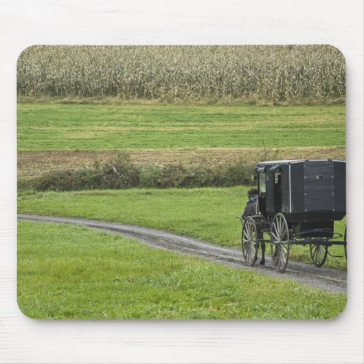 Amische Buggy auf Bauernhofweg, nordöstliches Mousepad (Vorne)
