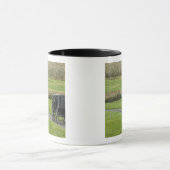 Amische Buggy auf Bauernhofweg, nordöstliches Tasse (Zentrum)