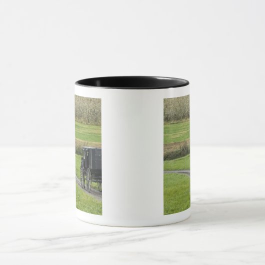 Amische Buggy auf Bauernhofweg, nordöstliches Tasse (Zentrum)