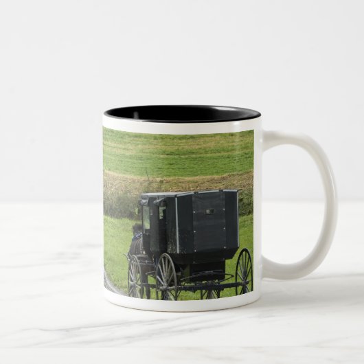 Amische Buggy auf Bauernhofweg, nordöstliches Zweifarbige Tasse (Rechts)