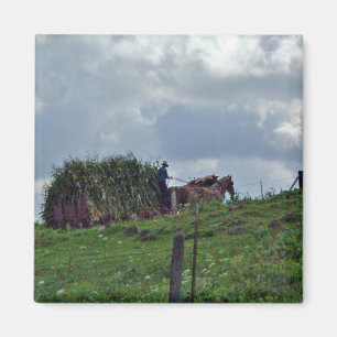 Amische Ernte Magnet