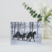 Amische Land-Winter-Wagen Fahrt-Postkarte Postkarte (Stehend Vorderseite)