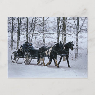 Amische Land-Winter-Wagen Fahrt-Postkarte Postkarte