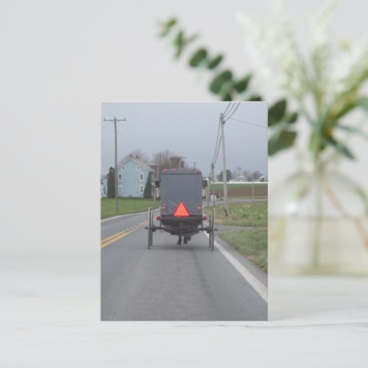 Amische Pferde-u. Buggy-Postkarte Postkarte (Stehend Vorderseite)