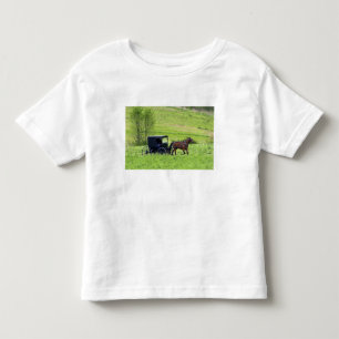 Amische Pferdekutsche nahe Berlin, Ohio. Kleinkind T-shirt