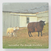 Amische Untersetzer, Mutter-Schafe und Steinuntersetzer (Vorderseite)